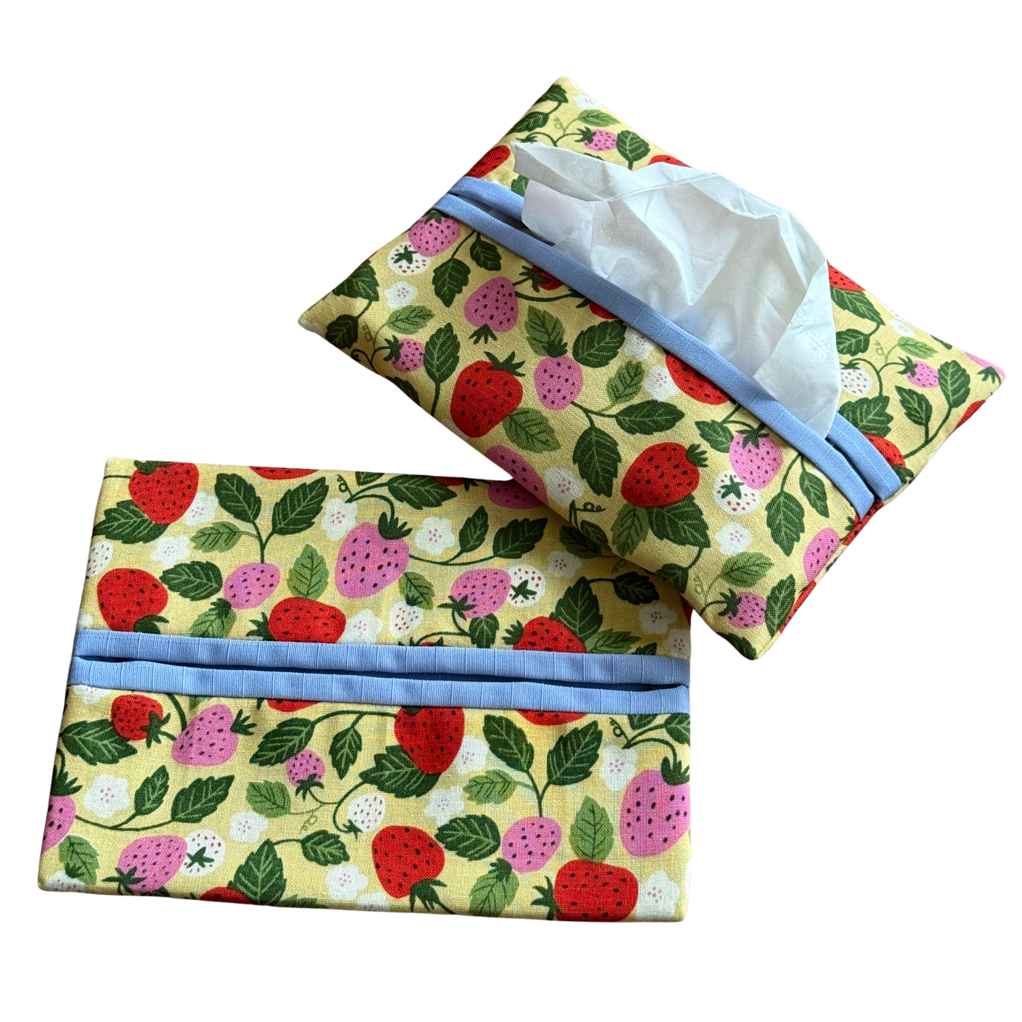 Tissue holder (strawberry fields)